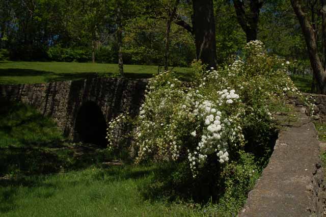 Winterset city park